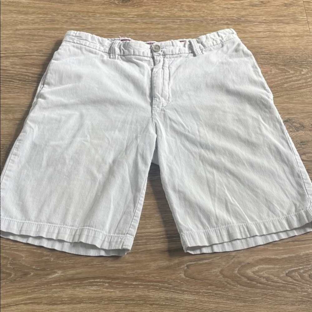 Men's Izod size 30 Gray White Pinstripe Spring Flat Front Summer Casual Shorts